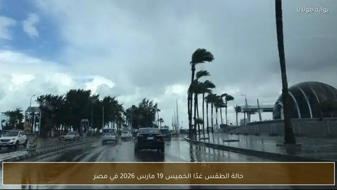 توقعات حالة الطقس في مصر غدًا الخميس التاسع عشر من مارس